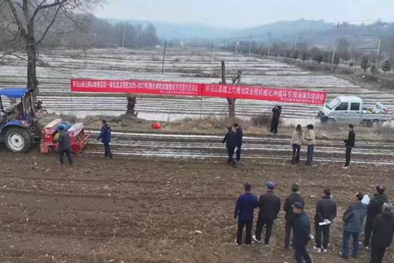 解锁油菜种植新范式——积石山农机中心举办丘陵山地农机一体化作业现场演示会